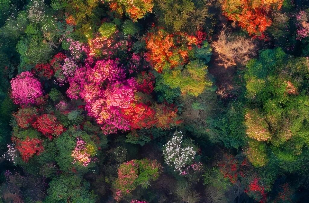 Guizhou, China · signature 3