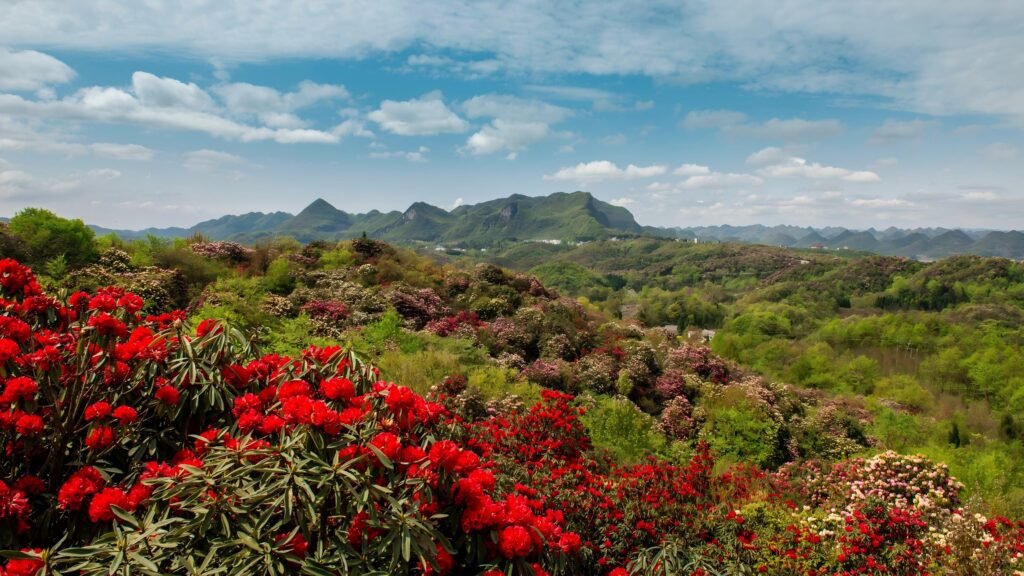 Guizhou, China · tour 6